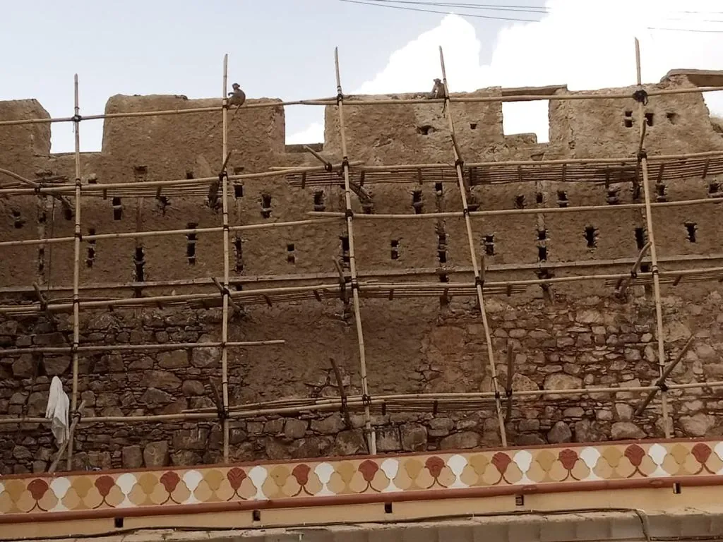 Conservation detail at Bundi Palace